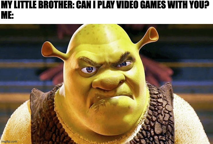 MY LITTLE BROTHER: CAN I PLAY VIDEO GAMES WITH YOU?
ME: | image tagged in funny,relatable,memes,shrek,siblings,new meme | made w/ Imgflip meme maker
