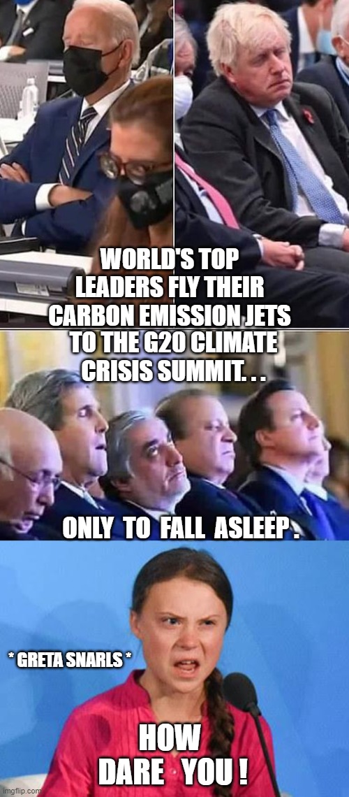 Yep, They Don't Care | WORLD'S TOP LEADERS FLY THEIR CARBON EMISSION JETS; TO THE G20 CLIMATE CRISIS SUMMIT. . . ONLY  TO  FALL  ASLEEP . * GRETA SNARLS *; HOW   DARE   YOU ! | image tagged in biden,kerry,liberals,democrats,climate change,greta | made w/ Imgflip meme maker