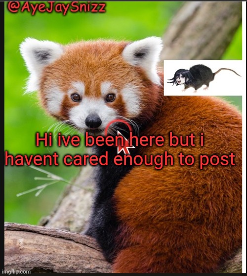 Lol | Hi ive been here but i havent cared enough to post | image tagged in ayejaysnizz red panda announcement | made w/ Imgflip meme maker