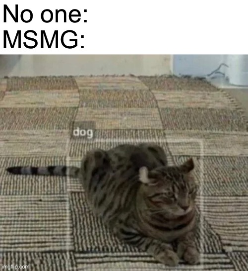 SurlyKong69! | No one:
MSMG: | image tagged in funny | made w/ Imgflip meme maker