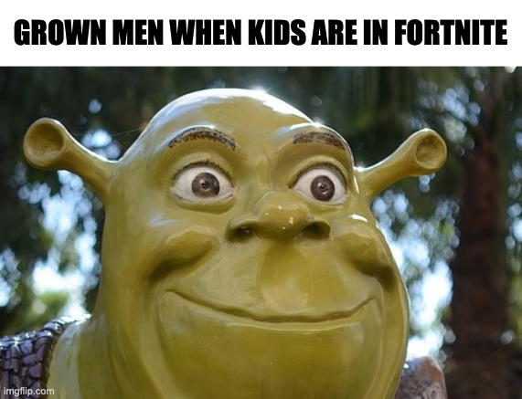 GROWN MEN WHEN KIDS ARE IN FORTNITE | image tagged in funny,memes,shrek,fortnite,relatable,new meme | made w/ Imgflip meme maker