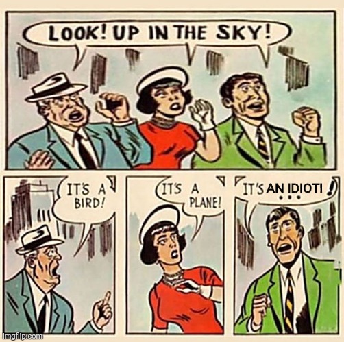 Look up at the sky | AN IDIOT! | image tagged in look up at the sky | made w/ Imgflip meme maker