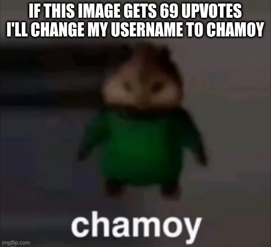 it won't, and I'll be able to change it on the 9th anyway | IF THIS IMAGE GETS 69 UPVOTES I'LL CHANGE MY USERNAME TO CHAMOY | image tagged in chamoy | made w/ Imgflip meme maker