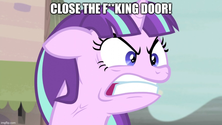 QUIET!! (MLP) | CLOSE THE F**KING DOOR! | image tagged in quiet mlp | made w/ Imgflip meme maker