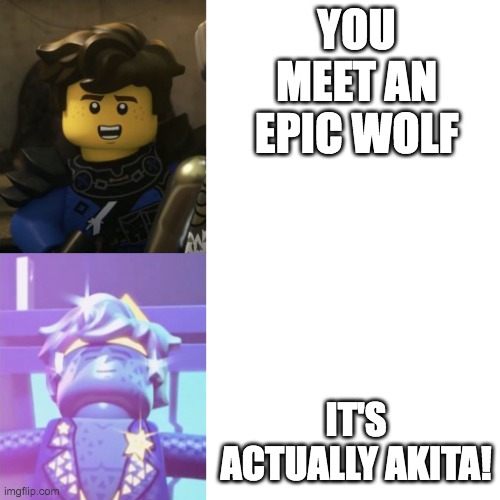 I just finished that season, and I LOVE the Lloykita ship! | YOU MEET AN EPIC WOLF; IT'S ACTUALLY AKITA! | image tagged in hotline bling ninjago version | made w/ Imgflip meme maker