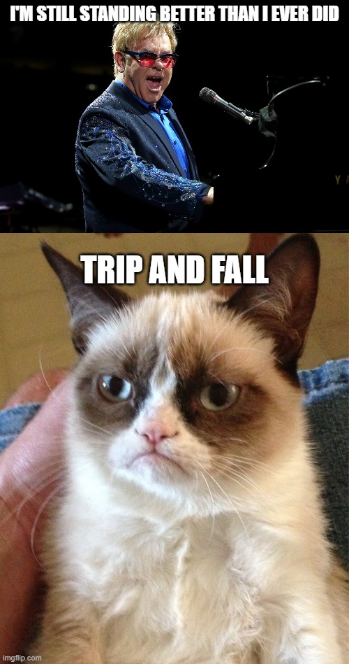 I'M STILL STANDING BETTER THAN I EVER DID; TRIP AND FALL | image tagged in elton john memes,grumpy cat memes | made w/ Imgflip meme maker