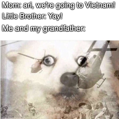 Facts. Pure facts | Mom: ari, we're going to Vietnam! Little Brother: Yay! Me and my grandfather: | image tagged in vietnam dog,flashback,send help | made w/ Imgflip meme maker