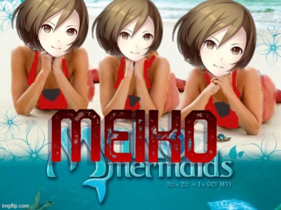 Vocaloid meiko | image tagged in vocaloid | made w/ Imgflip meme maker