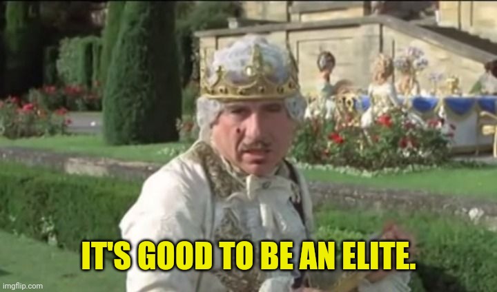 Mel Brooks good to be the king | IT'S GOOD TO BE AN ELITE. | image tagged in mel brooks good to be the king | made w/ Imgflip meme maker