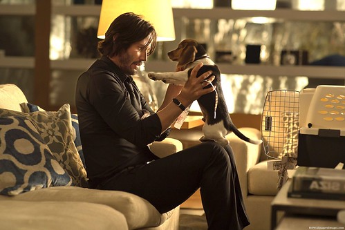 John Wick and his beagle Daisy Blank Meme Template