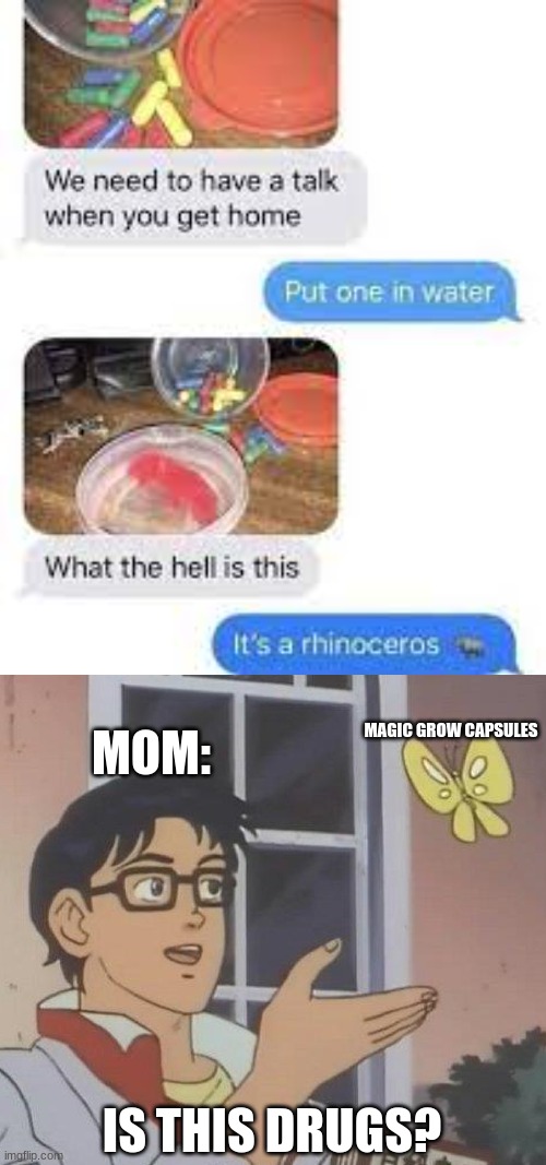 Remember those growing capsule things you place in water and they turn into a animal? | MAGIC GROW CAPSULES; MOM:; IS THIS DRUGS? | image tagged in memes,is this a pigeon,don't do drugs,funny texts,barney will eat all of your delectable biscuits | made w/ Imgflip meme maker