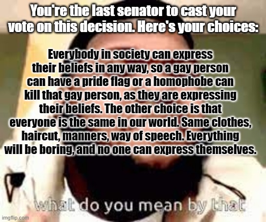 Answer | You're the last senator to cast your vote on this decision. Here's your choices:; Everybody in society can express their beliefs in any way, so a gay person can have a pride flag or a homophobe can kill that gay person, as they are expressing their beliefs. The other choice is that everyone is the same in our world. Same clothes, haircut, manners, way of speech. Everything will be boring, and no one can express themselves. | image tagged in what do you mean by that | made w/ Imgflip meme maker