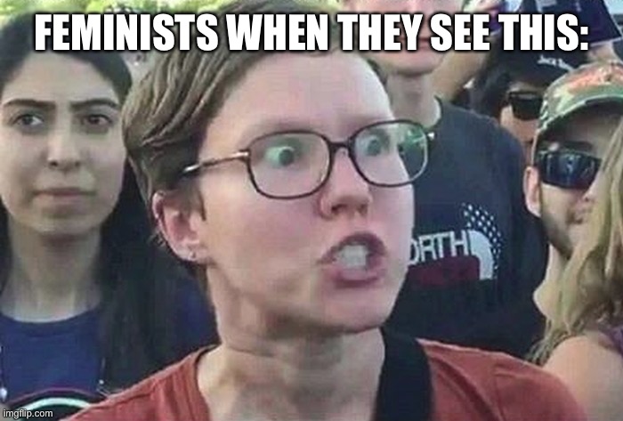 Triggered Liberal | FEMINISTS WHEN THEY SEE THIS: | image tagged in triggered liberal | made w/ Imgflip meme maker