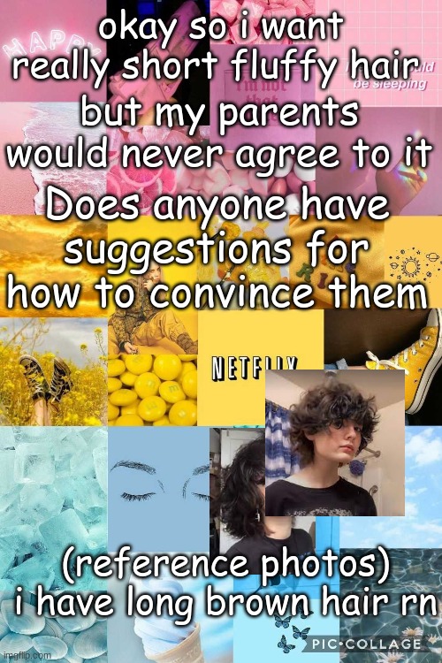 help | okay so i want really short fluffy hair; but my parents would never agree to it; Does anyone have suggestions for how to convince them; (reference photos)
i have long brown hair rn | made w/ Imgflip meme maker