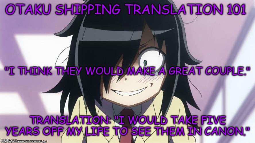 What Otaku Says vs. What She Means | OTAKU SHIPPING TRANSLATION 101; "I THINK THEY WOULD MAKE A GREAT COUPLE."; TRANSLATION: "I WOULD TAKE FIVE YEARS OFF MY LIFE TO SEE THEM IN CANON." | image tagged in anime otaku,anime meme,otaku,shipping,otp,funny | made w/ Imgflip meme maker