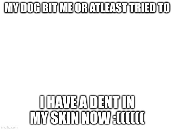 dog | MY DOG BIT ME OR ATLEAST TRIED TO; I HAVE A DENT IN MY SKIN NOW :(((((( | image tagged in blank white template | made w/ Imgflip meme maker