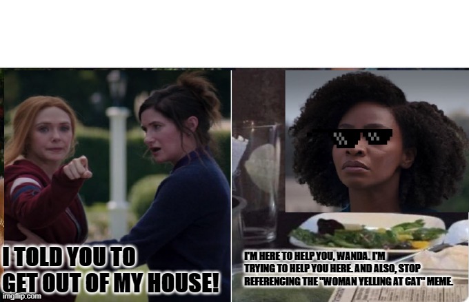 Wanda yelling at Monica |  I'M HERE TO HELP YOU, WANDA. I'M TRYING TO HELP YOU HERE. AND ALSO, STOP REFERENCING THE "WOMAN YELLING AT CAT" MEME. I TOLD YOU TO GET OUT OF MY HOUSE! | image tagged in marvel cinematic universe,wandavision,wanda,sunglasses | made w/ Imgflip meme maker