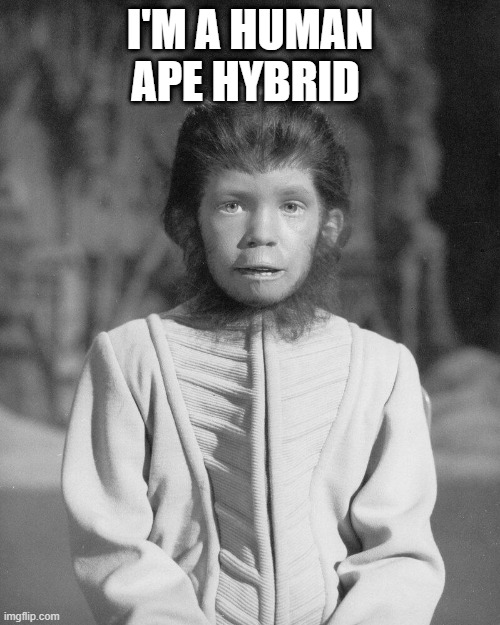 Human ape | I'M A HUMAN APE HYBRID | image tagged in andrew taylor | made w/ Imgflip meme maker