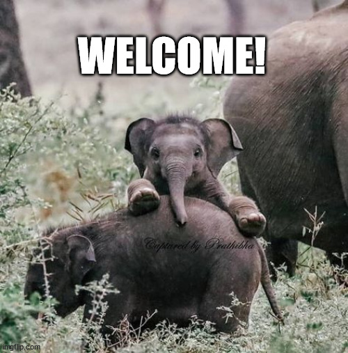 WELCOME! | made w/ Imgflip meme maker