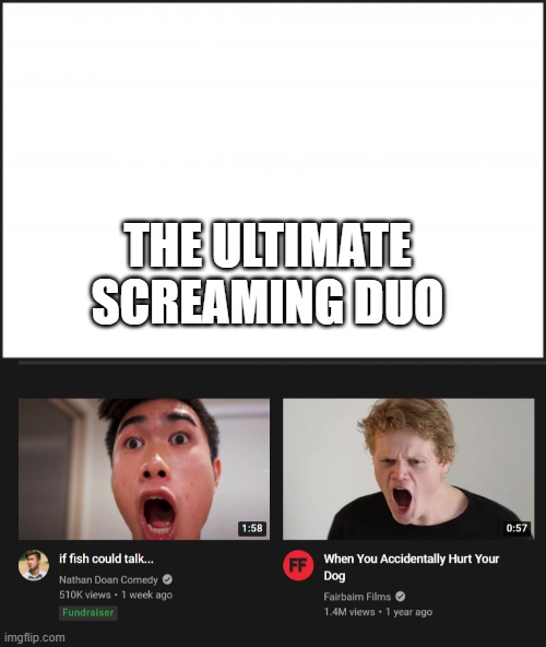  THE ULTIMATE SCREAMING DUO | image tagged in fun,memez,confused screaming | made w/ Imgflip meme maker