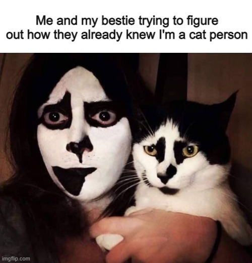 Cat Person | Me and my bestie trying to figure out how they already knew I'm a cat person | image tagged in cat person | made w/ Imgflip meme maker