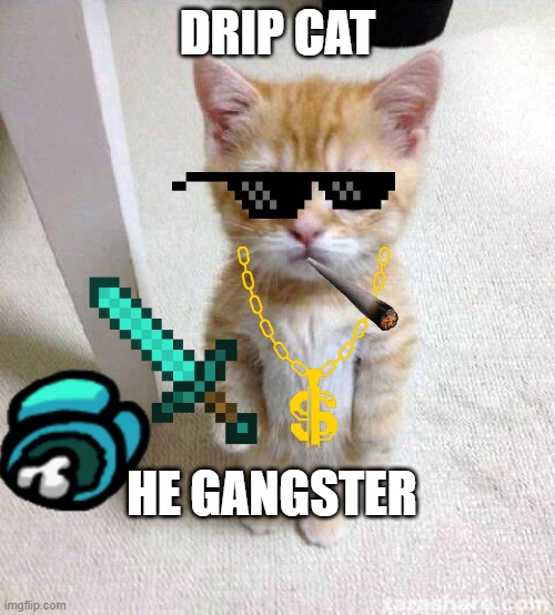 Epic Gangster Cat | DRIP CAT; HE GANGSTER | image tagged in memes,cute cat | made w/ Imgflip meme maker