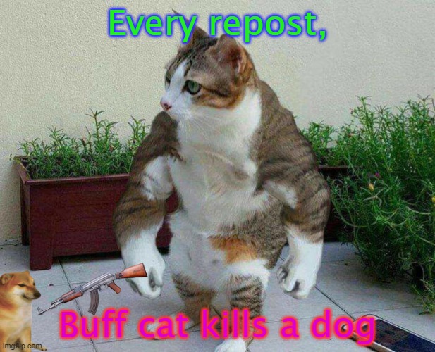 buff cat kills a dog | Every repost, Buff cat kills a dog | image tagged in buff cat,anti dog,memes,cats | made w/ Imgflip meme maker