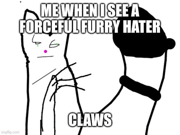 Blank White Template | ME WHEN I SEE A FORCEFUL FURRY HATER; CLAWS | image tagged in blank white template | made w/ Imgflip meme maker