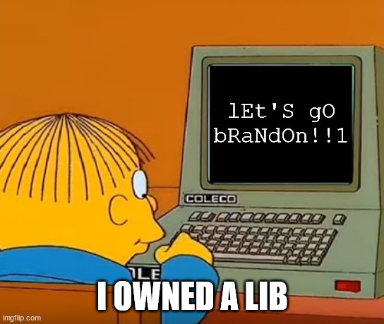 Ralph Computer | lEt'S gO bRaNdOn!!1; I OWNED A LIB | image tagged in ralph computer | made w/ Imgflip meme maker