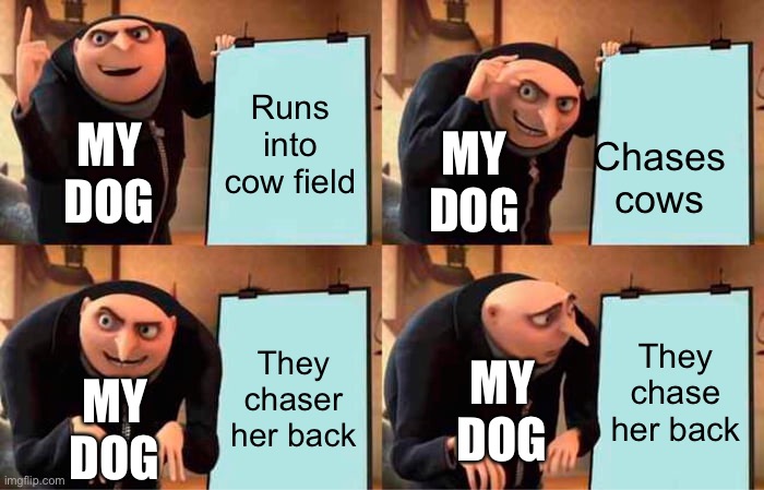 This… happened | Chases cows; Runs into cow field; MY DOG; MY DOG; They chase her back; They chaser her back; MY DOG; MY DOG | image tagged in memes,gru's plan | made w/ Imgflip meme maker