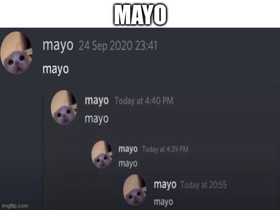 mayo | MAYO | image tagged in mayo,memes,funny,discord | made w/ Imgflip meme maker