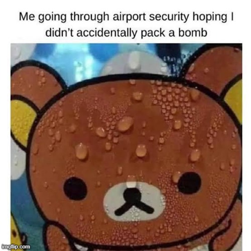 image tagged in memes,airport,bomb | made w/ Imgflip meme maker