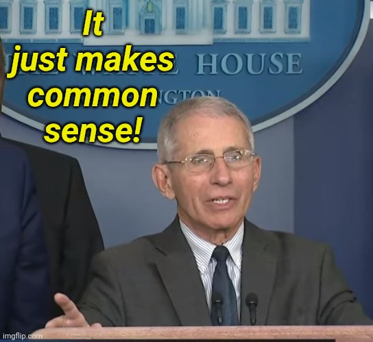 Dr Fauci | It just makes common sense! | image tagged in dr fauci | made w/ Imgflip meme maker