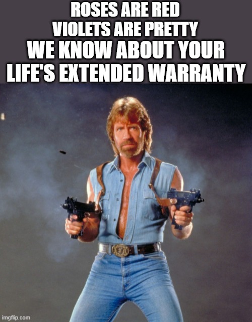*Loads gun with killing intent* | ROSES ARE RED
VIOLETS ARE PRETTY; WE KNOW ABOUT YOUR LIFE'S EXTENDED WARRANTY | image tagged in memes,chuck norris guns,chuck norris | made w/ Imgflip meme maker