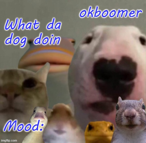 The council remastered | What da dog doin okboomer Mood: | image tagged in the council remastered | made w/ Imgflip meme maker