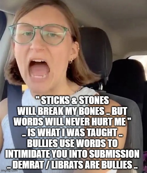 DEMrat | " STICKS & STONES WILL BREAK MY BONES .. BUT WORDS WILL NEVER HURT ME " .. IS WHAT I WAS TAUGHT .. BULLIES USE WORDS TO INTIMIDATE YOU INTO SUBMISSION .. DEMRAT / LIBRATS ARE BULLIES .. | image tagged in unhinged liberal lunatic idiot woman meltdown screaming in car | made w/ Imgflip meme maker