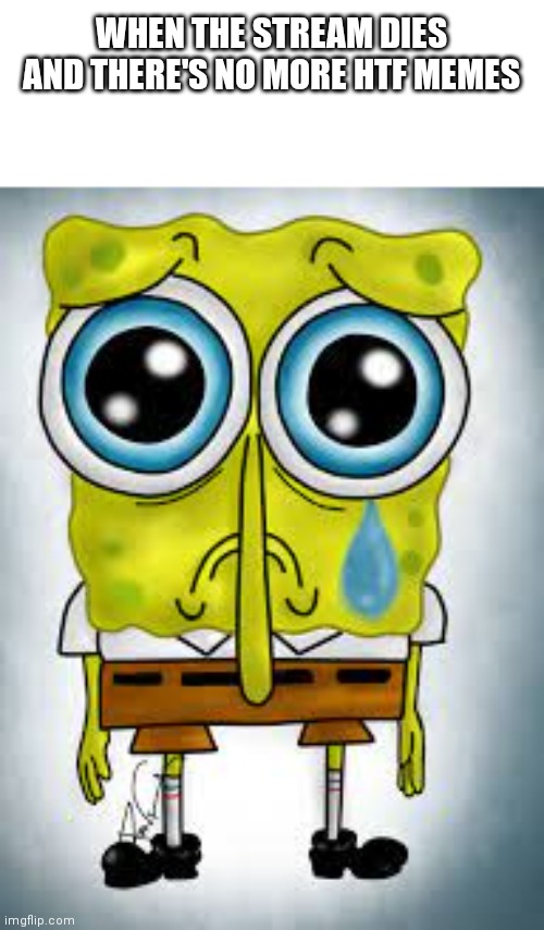 Sad moment | WHEN THE STREAM DIES AND THERE'S NO MORE HTF MEMES | image tagged in spongebob sad | made w/ Imgflip meme maker