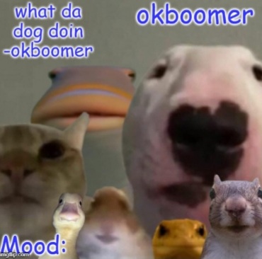 Okboomer template v4 (credit to yeetrex) Blank Meme Template