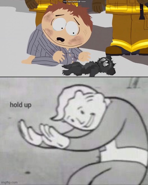 i really prefer it unflipped | image tagged in fallout hold up | made w/ Imgflip meme maker