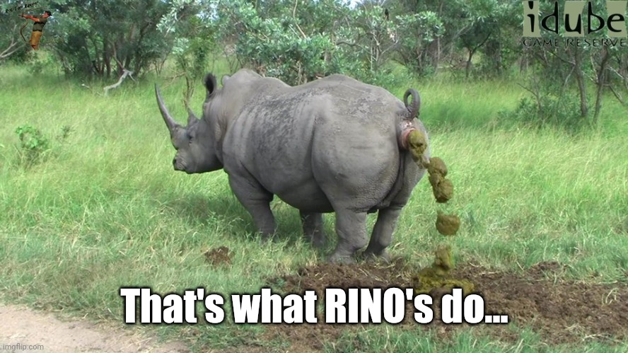 rhino poop | That's what RINO's do... | image tagged in rhino poop | made w/ Imgflip meme maker