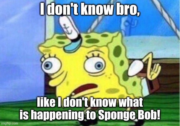 Sponge Bob be like... | I don't know bro, like I don't know what is happening to Sponge Bob! | image tagged in memes,mocking spongebob | made w/ Imgflip meme maker
