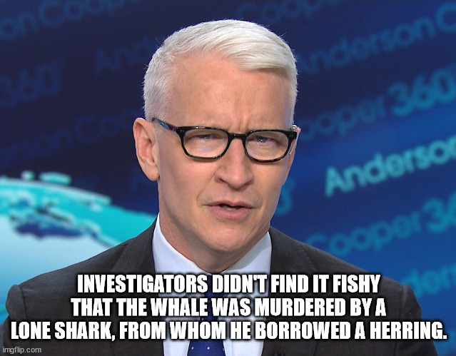 Anderson Cooper's Magnificent Wit | INVESTIGATORS DIDN'T FIND IT FISHY THAT THE WHALE WAS MURDERED BY A LONE SHARK, FROM WHOM HE BORROWED A HERRING. | image tagged in anderson cooper's double pun,underground criminal activity,sleeping with the fishes | made w/ Imgflip meme maker