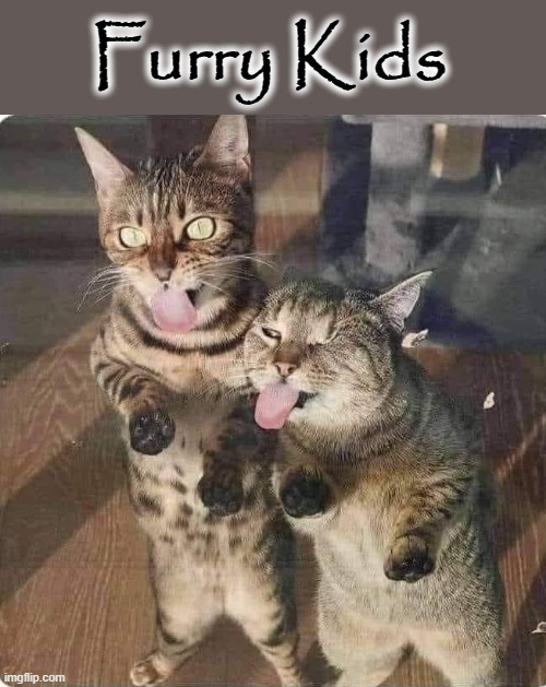 Kids ! | Furry Kids | image tagged in furry | made w/ Imgflip meme maker