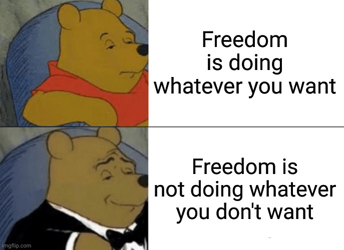 Best double neg in history | Freedom is doing whatever you want; Freedom is not doing whatever you don't want | image tagged in memes,tuxedo winnie the pooh | made w/ Imgflip meme maker
