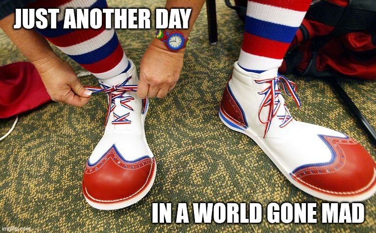 CWD | JUST ANOTHER DAY IN A WORLD GONE MAD | image tagged in clown shoes,clown,world,the daily struggle imgflip edition | made w/ Imgflip meme maker