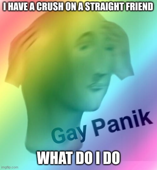 help me please i need to get over it | I HAVE A CRUSH ON A STRAIGHT FRIEND; WHAT DO I DO | image tagged in gay panik | made w/ Imgflip meme maker