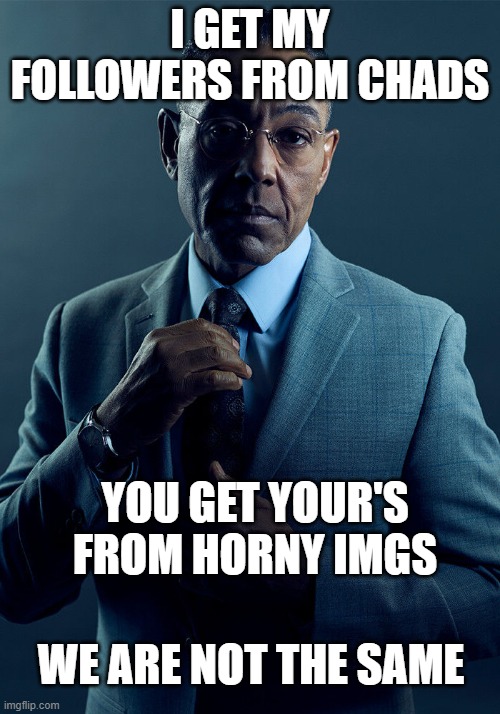 Gus Fring we are not the same | I GET MY FOLLOWERS FROM CHADS; YOU GET YOUR'S FROM HORNY IMGS; WE ARE NOT THE SAME | image tagged in gus fring we are not the same | made w/ Imgflip meme maker