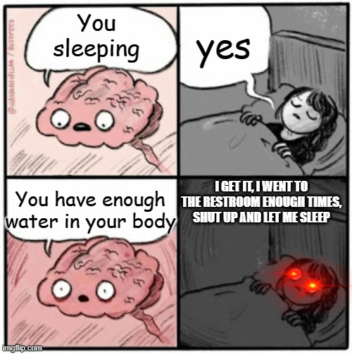 Every. 5. Minutes. | yes; You sleeping; You have enough water in your body; I GET IT, I WENT TO THE RESTROOM ENOUGH TIMES, SHUT UP AND LET ME SLEEP | image tagged in brain before sleep,water,bathroom | made w/ Imgflip meme maker