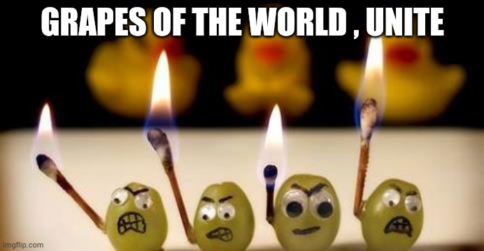 angry grapes | GRAPES OF THE WORLD , UNITE | image tagged in angry grapes | made w/ Imgflip meme maker