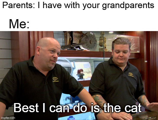 I love best | Parents: I have with your grandparents; Me:; Best I can do is the cat | image tagged in pawn stars best i can do,memes | made w/ Imgflip meme maker